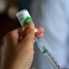 Rolador inicia a vacinação contra a gripe da população em geral