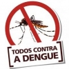 Legislativo de Ijuí aprova novas regras para combate ao mosquito Aedes aegypti
