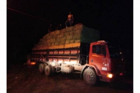 Produtor cai em golpe após viajar mais de 500 km com carga de alfafa até Caxias do Sul