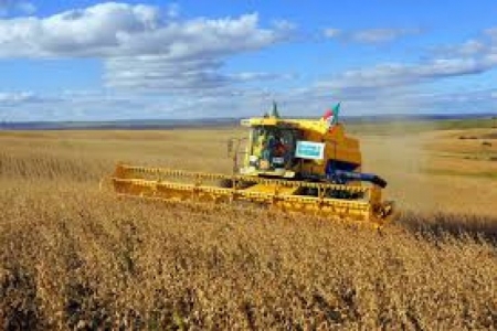 Inicia colheita do trigo no RS