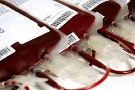 Febre amarela leva a novos critérios para doação de sangue