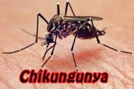 Rio Grande do Sul registra dois casos de febre Chikungunya