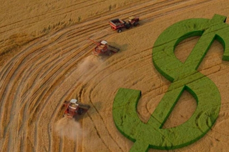 Governo anuncia Plano Safra 2021/2022 com R$ 251,2 bilhões para a agricultura