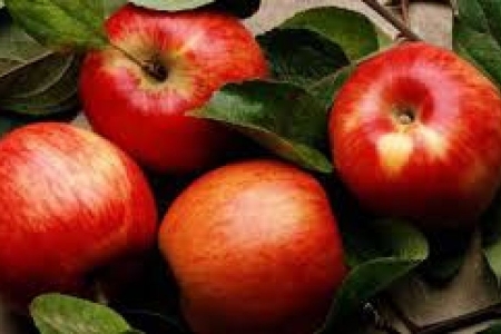 Brasil suspende importação de maçã, pera e marmelo da Argentina